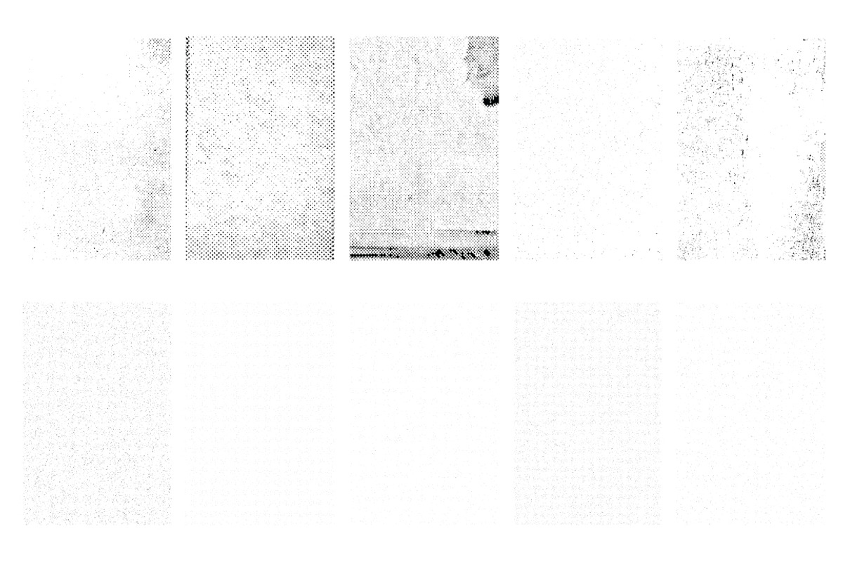10 Vintage Vector Textures preview 2