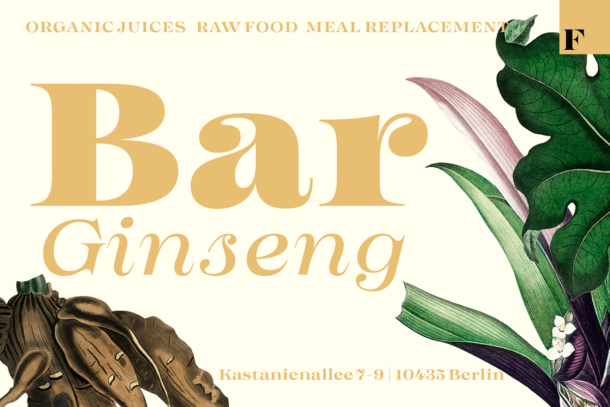 Imagist Intro Super Sale!, a Serif Font by Fenotype (Photo 7 of 10)