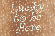 Curly Vintage Chic Handwritten Font, a Handwritten Font by Ayya Studio (Thumbnail 13 of 15)