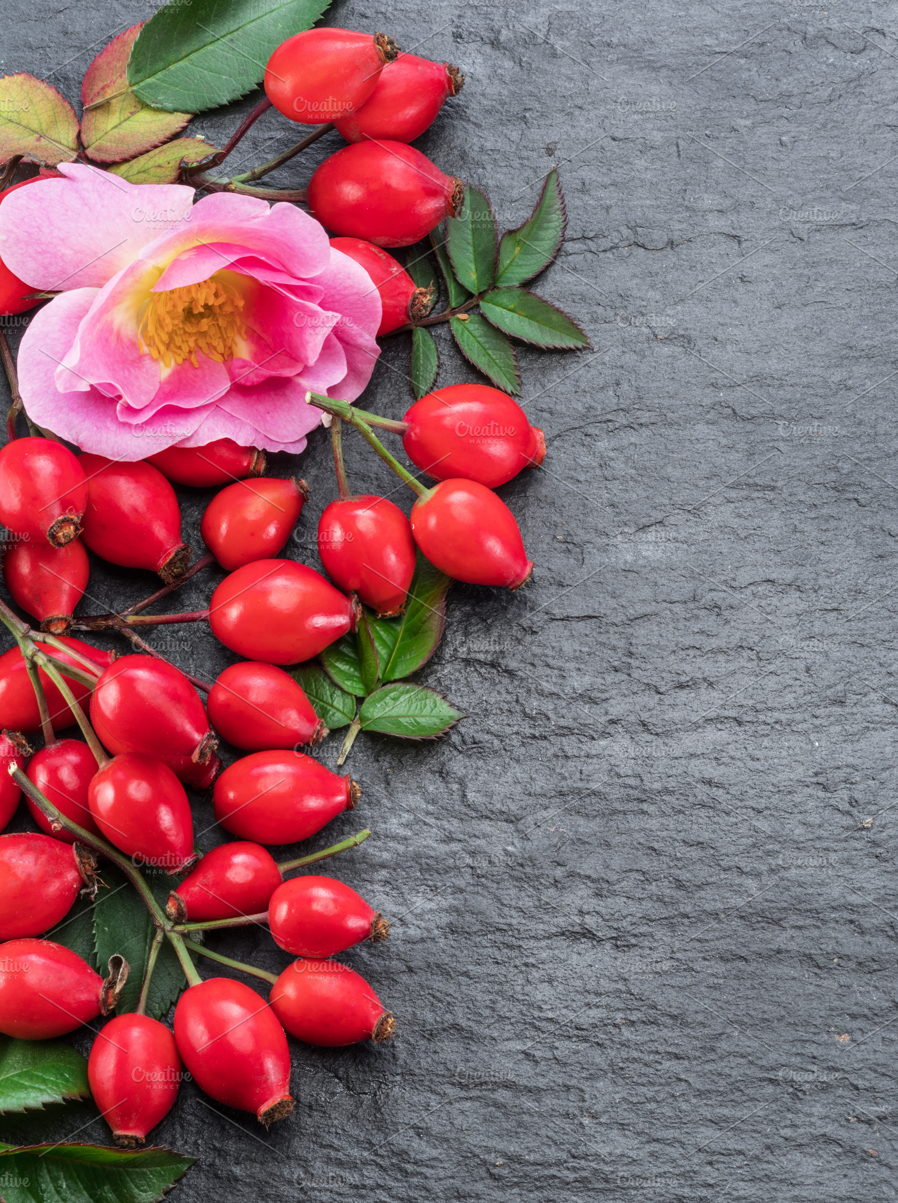 Red ripe rose-hips on gray graphite, a Food & Drink Photo by Volff
