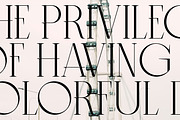 MIT Exileon - Script&Serif font duo, a Serif Font by Maculinc Type (Thumbnail 14 of 16)