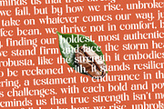 Single Robusta Modern Display Serif, a Serif Font by timelesstype.co (Thumbnail 10 of 20)