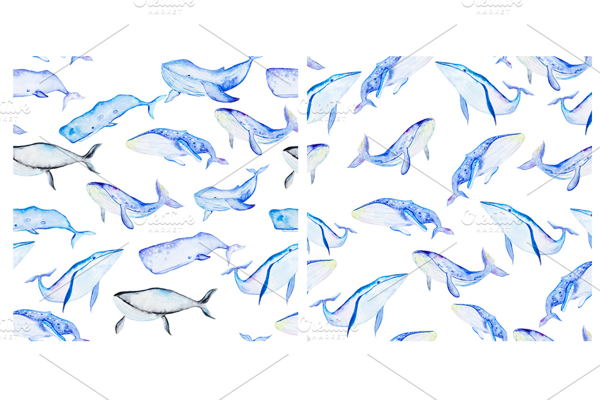 Whale watercolor set, an Animal Illustration by IvanFet (Photo 2 of 2)