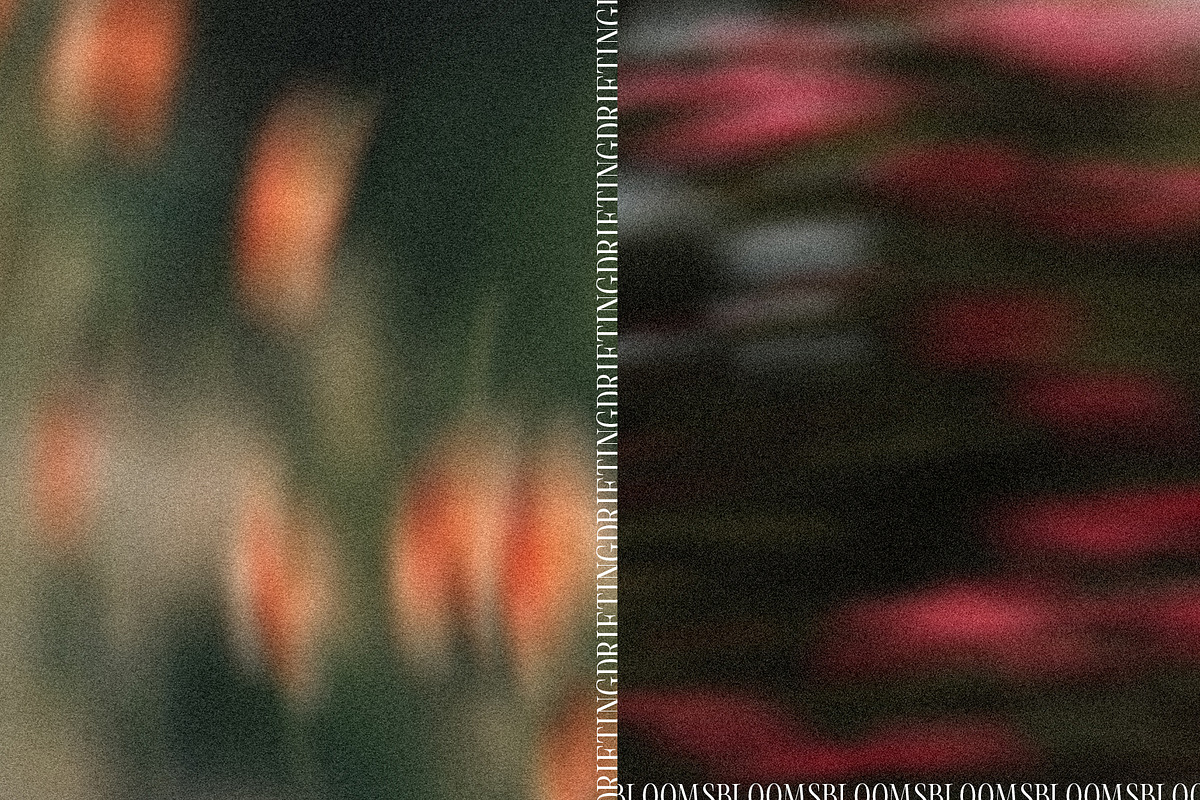 Drifting Blooms, a Background Graphic by Dina Mae (Photo 4 of 12)
