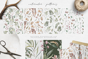 Watercolor Botanical Collection