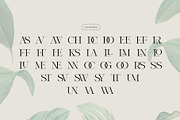 Winter Solace – Calligraphic Serif, a Serif Font by Krismagraph (Thumbnail 7 of 10)