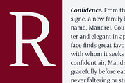 Mandrel, a Serif Font by insigne (Thumbnail 2 of 5)