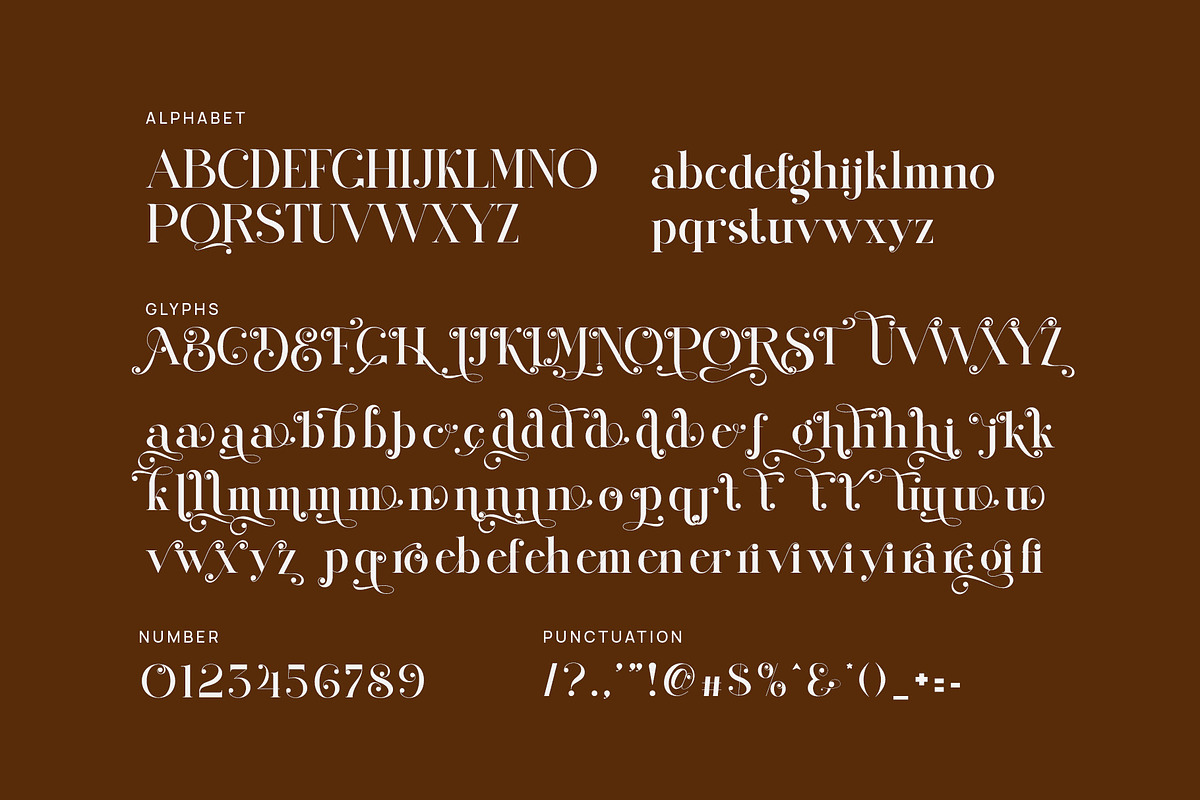 Qid Bronste Elegant Serif, a Serif Font by Perfectype (Photo 8 of 9)