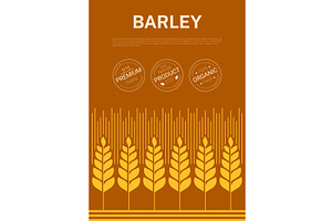 Modern cereal barley grains, an Object Illustration by Vector Tradition