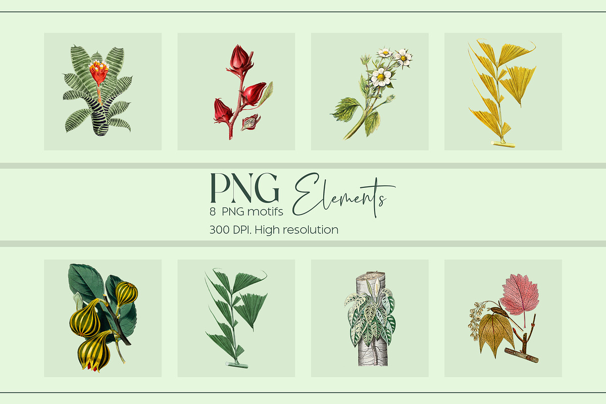 Jungle Epiphany Floral Pattern, a Pattern Graphic by Fabrivo (Photo 3 of 9)