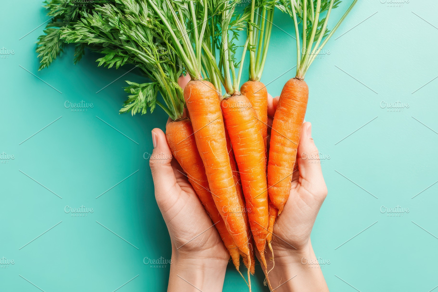 Fresh carrots held in hands on turquoise background, a Food & Drink Photo by AlyaAnd