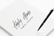 Gold Mastey Artictic Brush Font, a Script Font by Design Dukkan (Thumbnail 5 of 9)