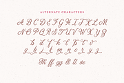 Lockhart- Romantic Script Font, a Script Font by Danielle Eneh (Thumbnail 5 of 11)