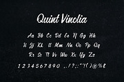 Quint Vinolia Calligraphy Font, a Handwritten Font by UICreative (Thumbnail 5 of 5)