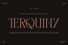 Terquiny - Modern Luxury Serif
