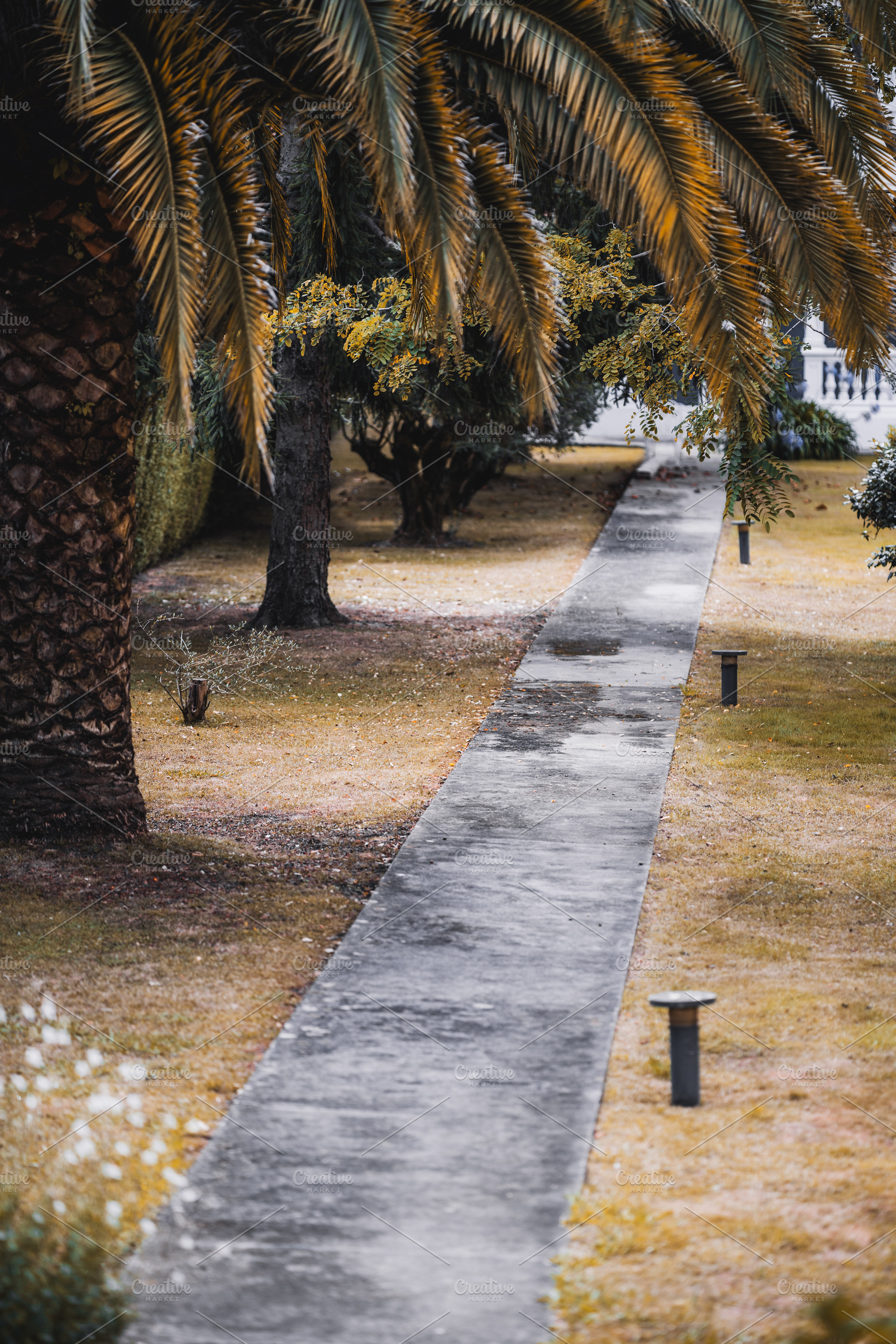 Autumn path in garden, a Holiday Photo by SkyNext