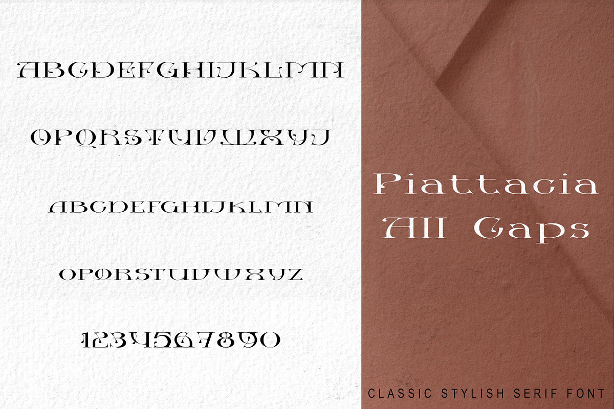 Piattacia font family, a Serif Font by greatypes studio (Photo 4 of 15)