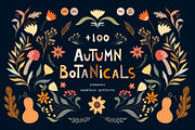 Autumn botanicals collection, a Decorative Illustration by Letto studio (Thumbnail 1 of 7)