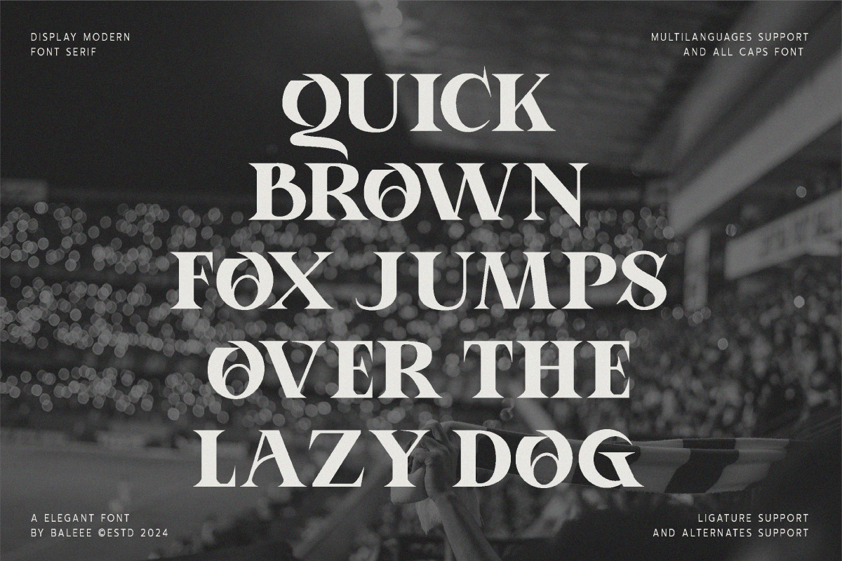 Aporla - Elegant Slab Serif, a Slab Serif Font by Baleee (Photo 14 of 18)