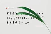 Nieckos - Monoline Handwritten Font, a Handwritten Font by Dhabee (Thumbnail 5 of 12)