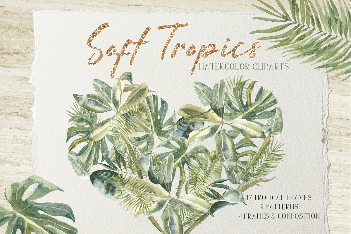 Soft Tropics Watercolor Cliparts, a Decorative Illustration by Cat In Colour (Photo 1 of 5)