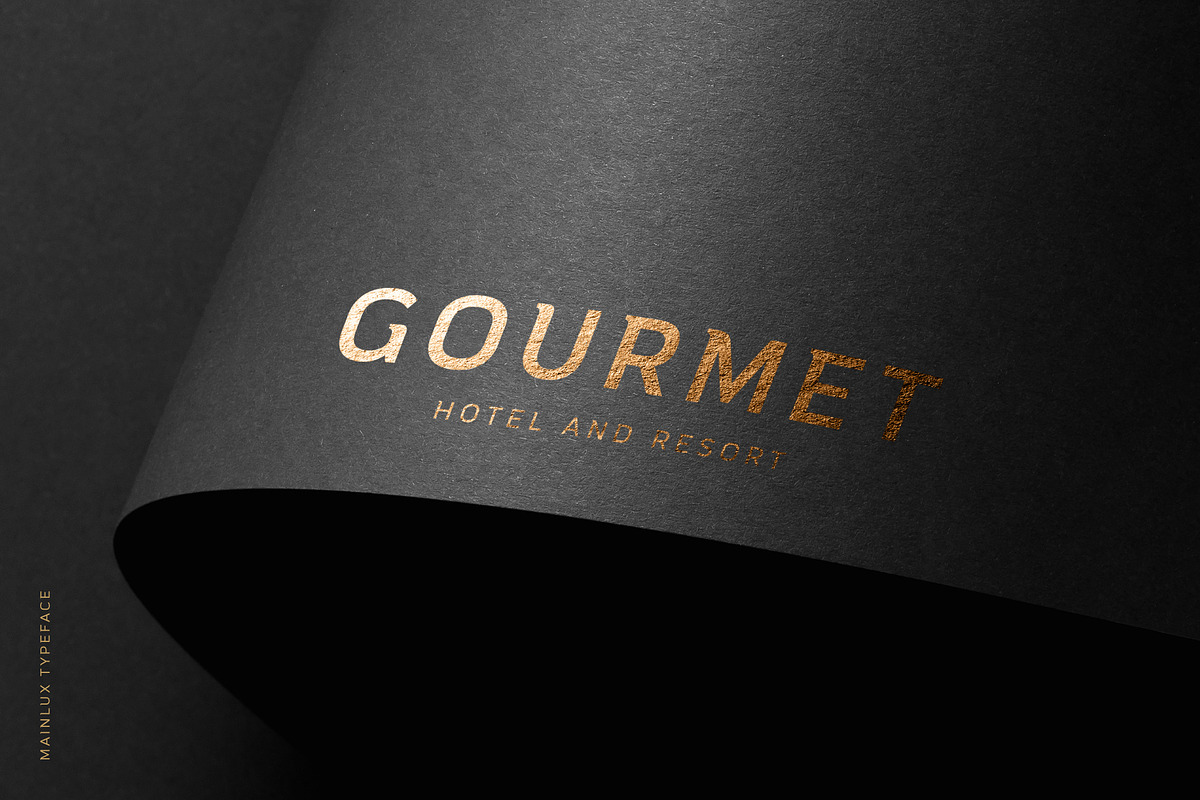 Mainlux Font, a Sans Serif Font by Digitype Studio (Photo 10 of 10)