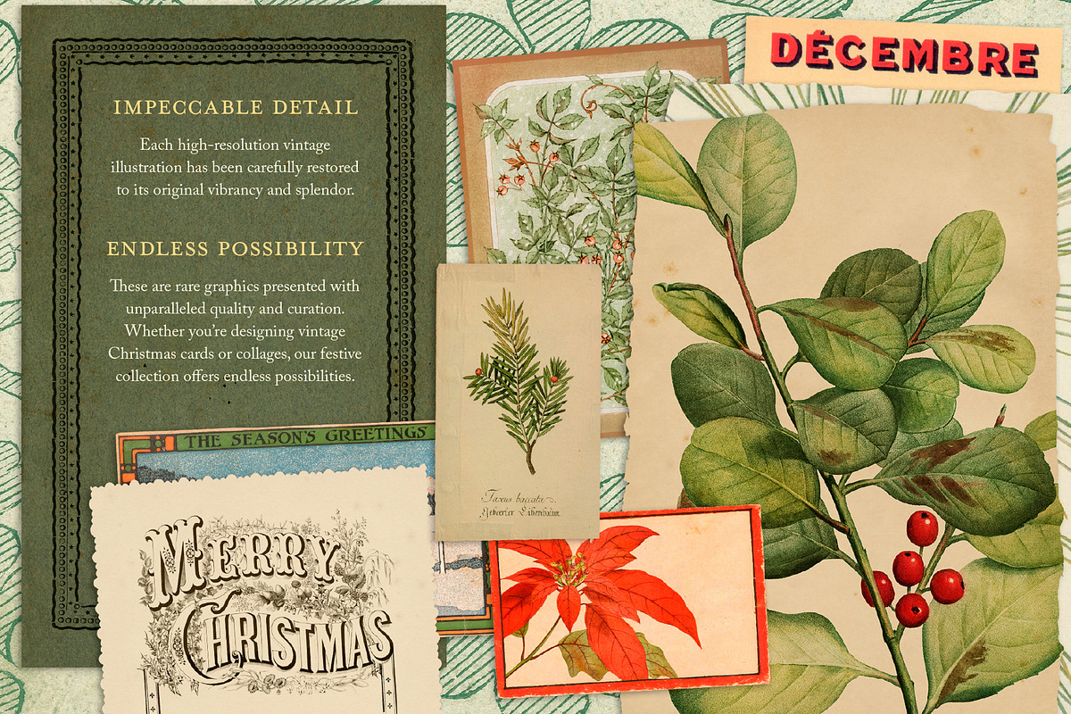 125 Vintage Christmas Ephemera, an Object Graphic by The Object Atlas (Photo 4 of 6)