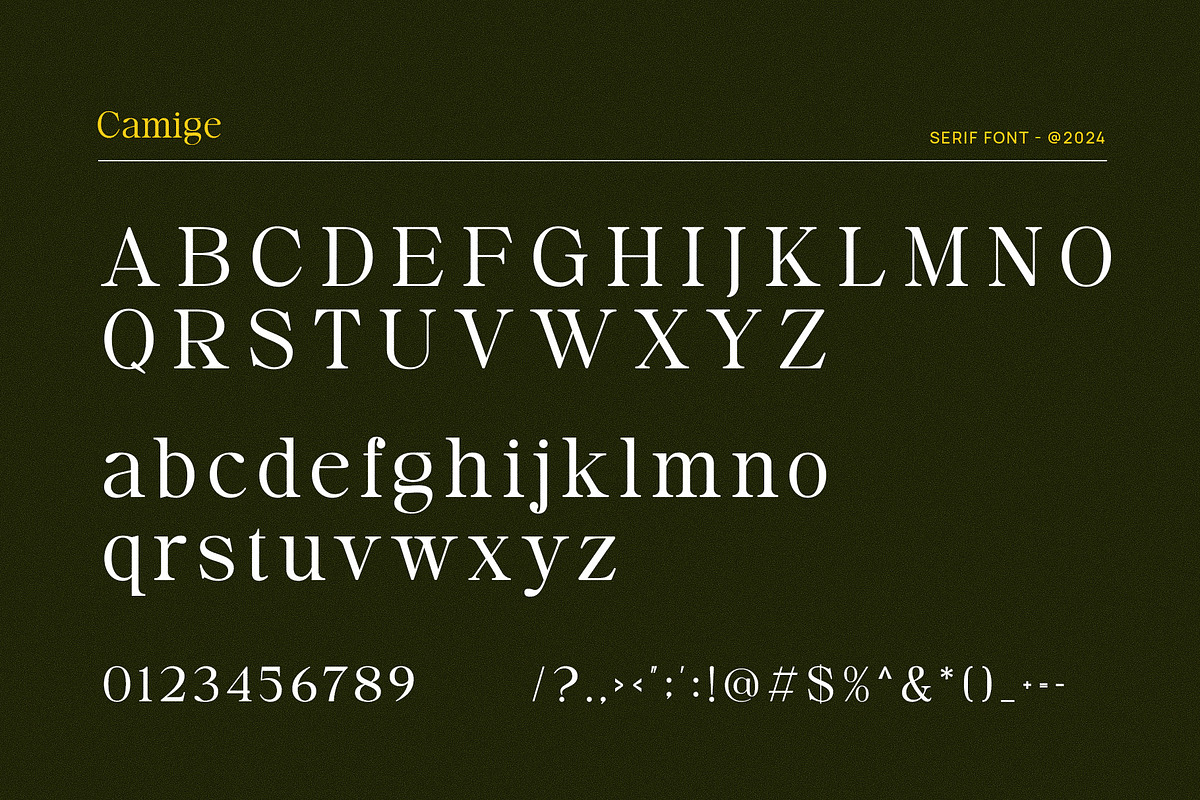 Camige - Classy & Stylish Serif, a Serif Font by TypeLogue (Photo 5 of 5)