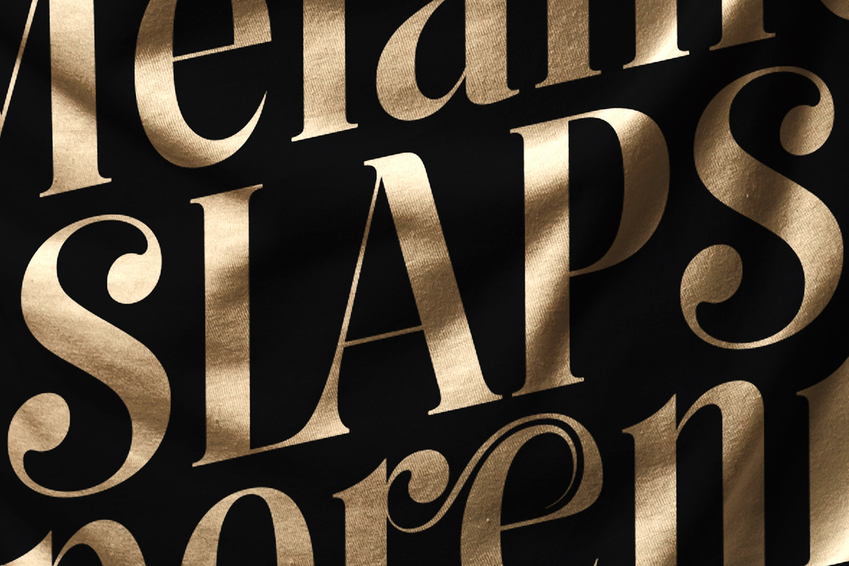 Kage Pro - Neoclassical Display Font, a Serif Font by Balibilly Design (Photo 3 of 17)