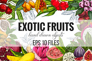 Exotic fruits. Vector collection., a Healthcare Illustration by JSolomatina (Thumbnail 1 of 9)