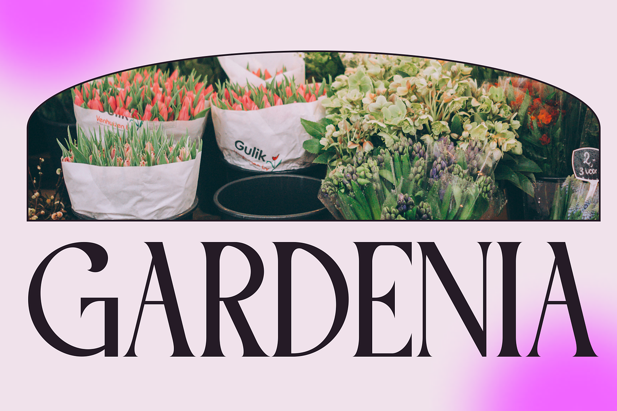 Maoze - Classic Serif Font, a Serif Font by MaikoHatta (Photo 3 of 7)