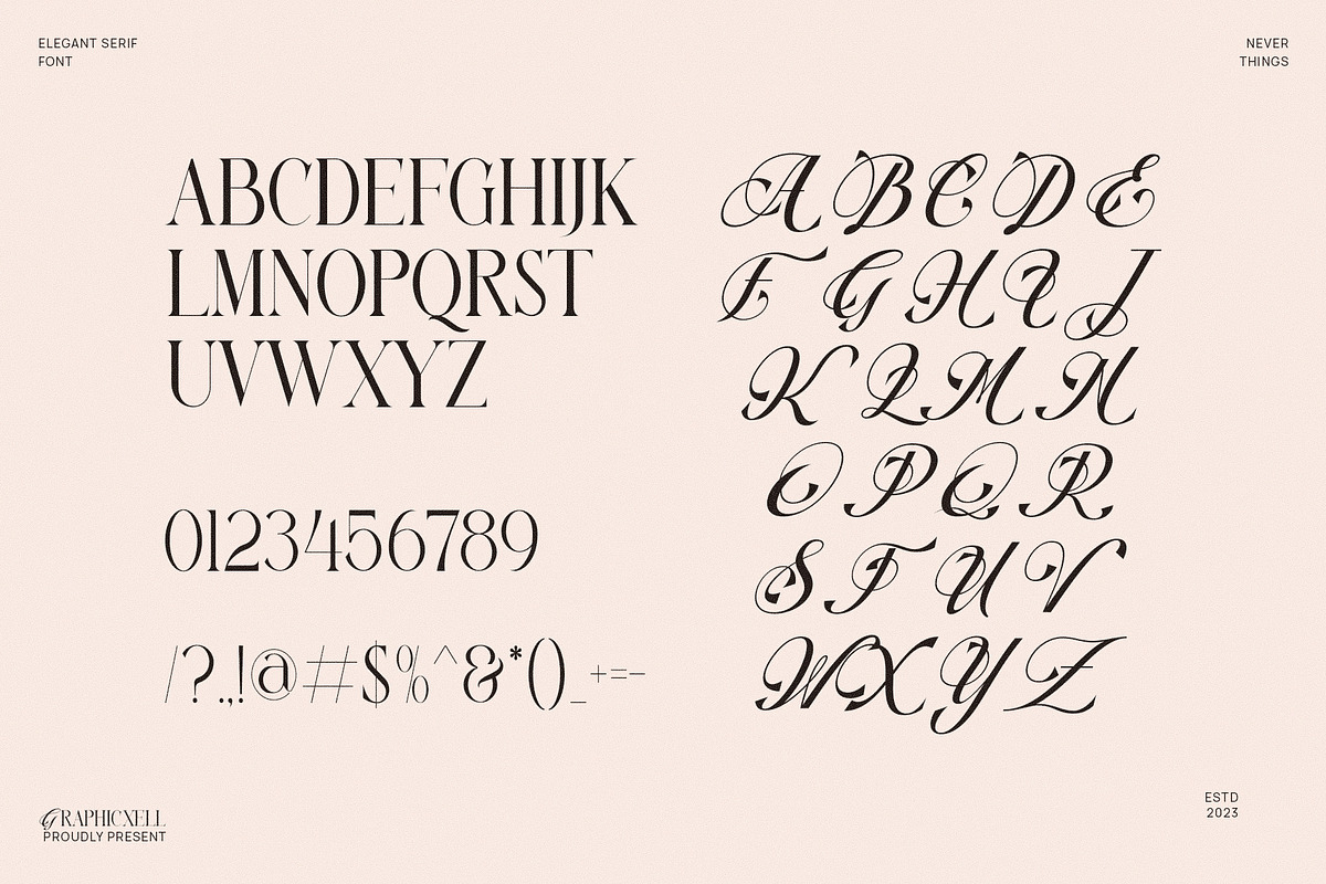 Never Things Elegant & Premium Serif, a Serif Font by Graphicxell (Photo 10 of 10)