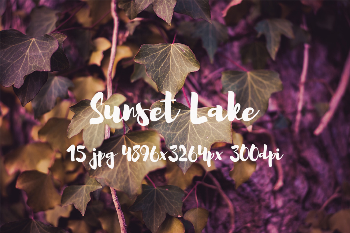 Sunset Lake, a Templates & Theme by ApertureVintage (Photo 15 of 15)