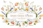 Watercolor Spring Gentle Flowers, a Decorative Illustration by Pamyatka Shop (Thumbnail 1 of 12)