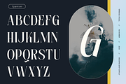 Aguilary Modern - Elegant Logo Font, a Serif Font by Nirmana Visual (Thumbnail 4 of 16)