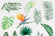 Watercolor Tropical BIG BUNDLE PNG, a Seasonal Illustration by PatternPalette (Thumbnail 3 of 15)