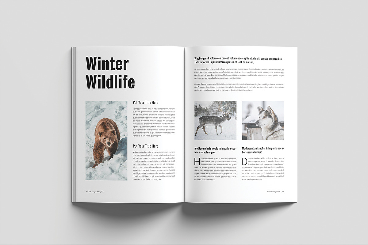 Winter Travel Magazine Template, a Magazine Template by Cleffon_Graphic_Studio (Photo 6 of 11)
