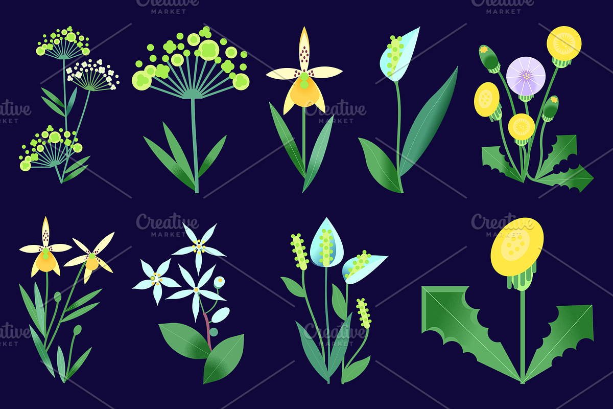 Summer flowers set – 87+ elements, a Decorative Illustration by Schumacher Shop (Photo 10 of 26)