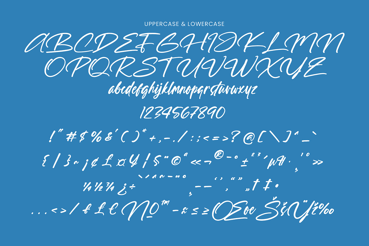 Through Out Handwritten Signature, a Handwritten Font by operatype.co (Photo 9 of 10)