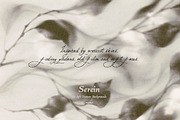 Serein: Fine Art Texture Backgrounds, a Background Graphic by Purple (Thumbnail 2 of 10)