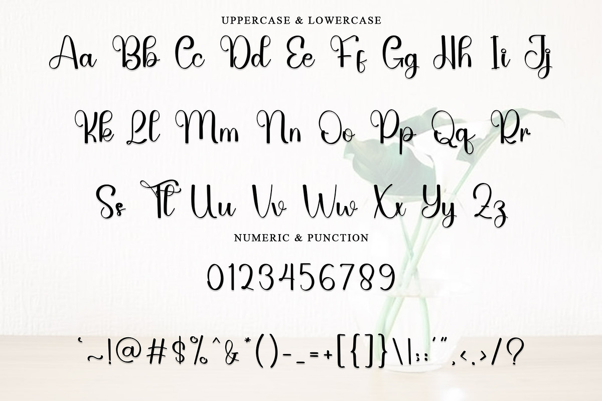 Tumbler, a Handwritten Font by InermediaSTUDIO (Photo 4 of 6)