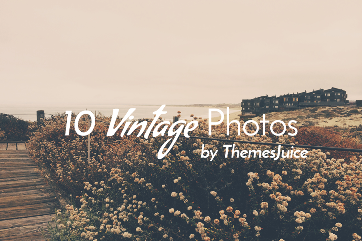 Set 10 Vintage Photos - Vol 1, a Templates & Theme by ThemesJuice (Photo 2 of 6)