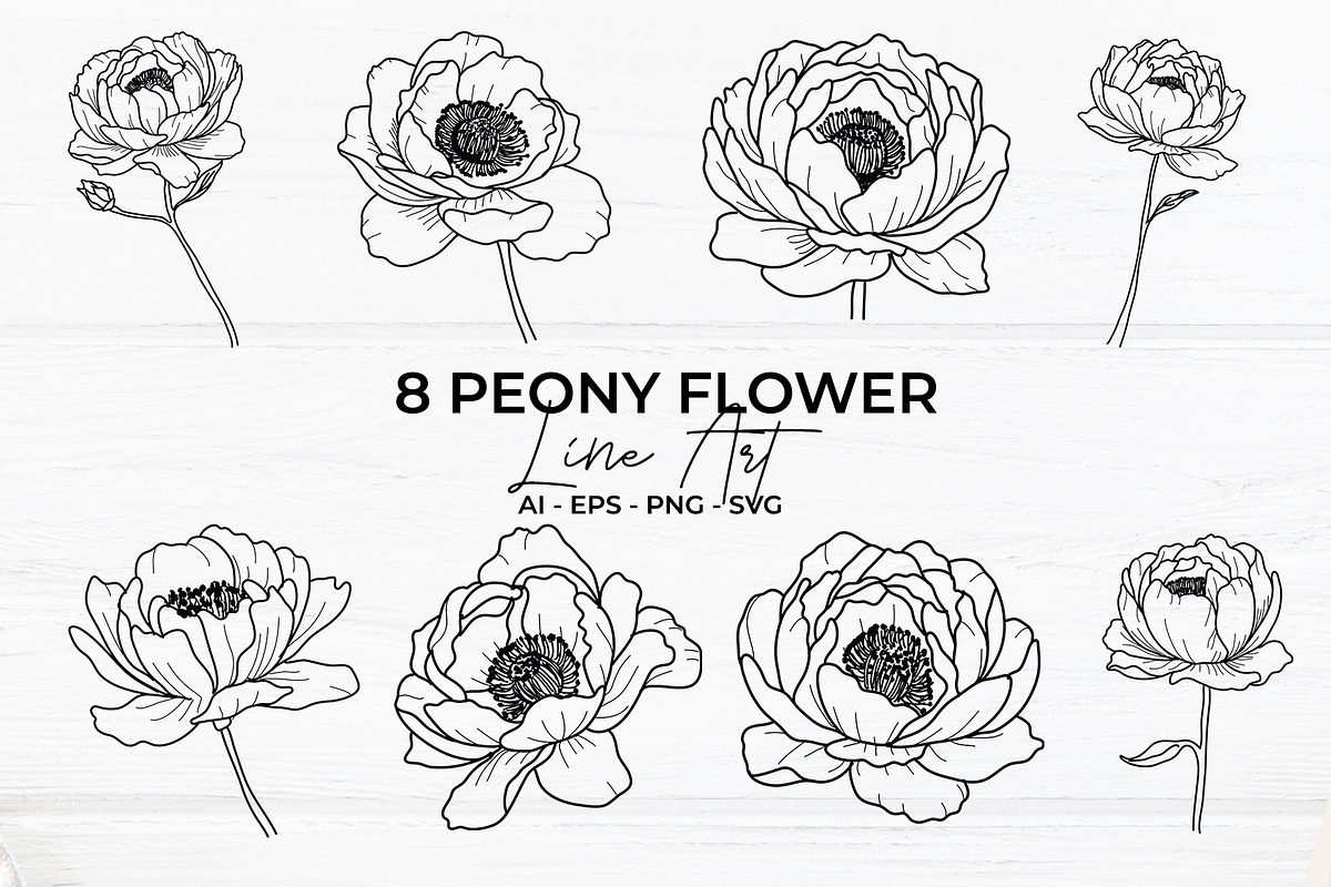 Peony Flower Line Art, an Object Graphic by Mockmenot