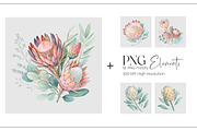Protea Watercolor Seamless Pattern, a Pattern Graphic by Fabrivo (Thumbnail 4 of 11)