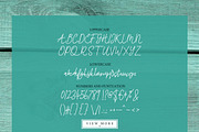Tintri Pure - Script and Serif, a Script Font by Inspiratype (Thumbnail 9 of 10)
