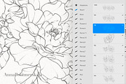 Procreate flower stamp, roses brush, a Brush Add-On by AnnaPolitmerskaja (Thumbnail 2 of 5)