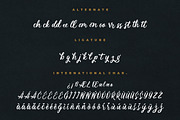 Magnifyco Bold Script, a Script Font by Creatype Studio (Thumbnail 8 of 9)