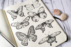 Hand Drawn Sketch Butterflies Set