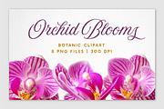 Realistic Orchid Flowers - Isolated, an Object Graphic by Turning Moss (Thumbnail 2 of 6)
