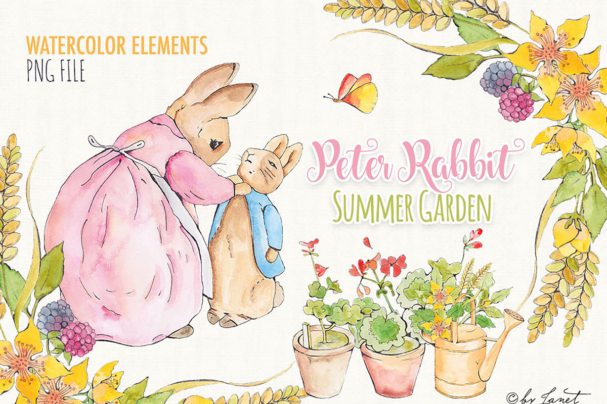 Peter Rabbit - Summer Garden, an Illustration by helloPAPER (Photo 2 of 3)